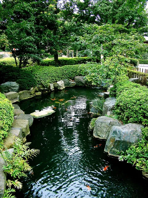 Kohaku